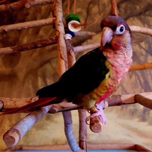 Meet your Posher, Amanda - Picture 5 of 16